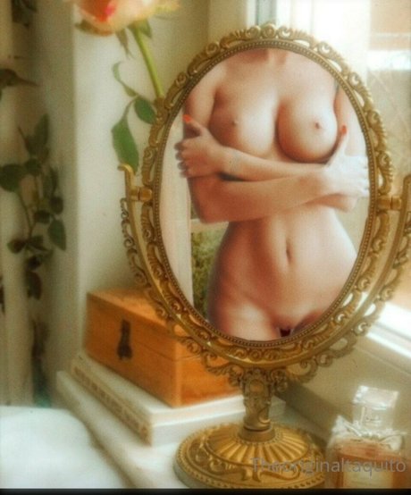 The Original Taquito nice model galleries