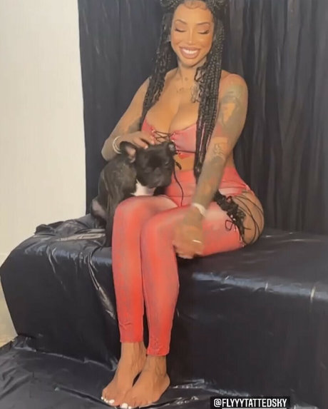 flyyytattedsky pornstar adult img