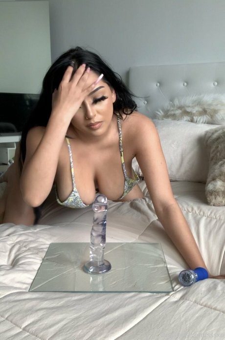 lyncocoo nice pornstar galleries