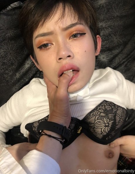 EmotionalBirdy xxx pornstar img