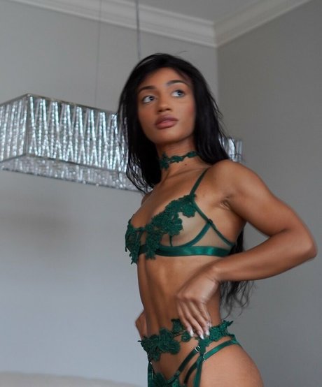taylorchamp sexy star image