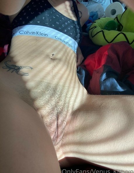 Venus Kitty star naked pics