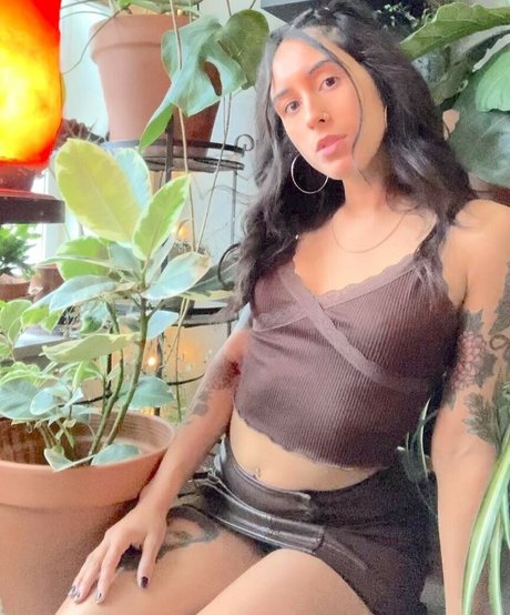 Lenamarisol hot star gallery