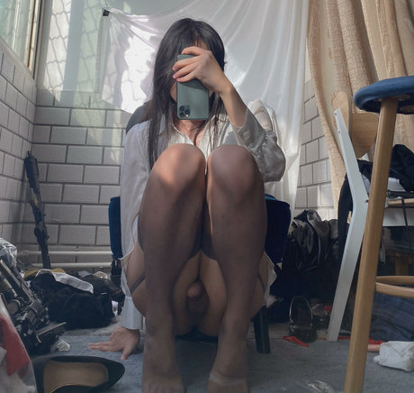 BrickZhuan adult star gallery