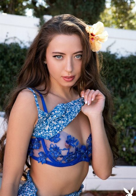 Lauryn Wolfe porn star pics
