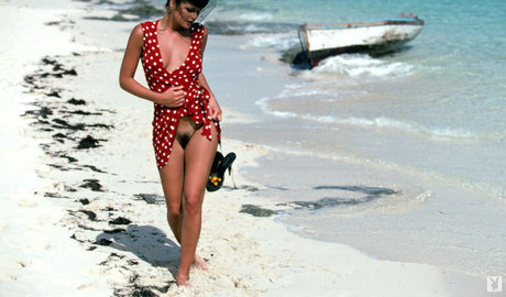 Samantha Torres profile image
