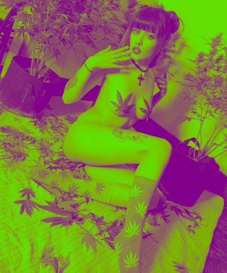 Taylor Evanchak porn star archive