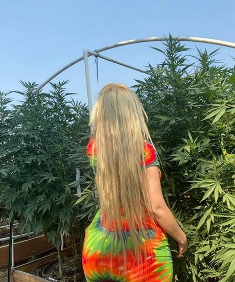 amethystfaymusic nudes actress pictures