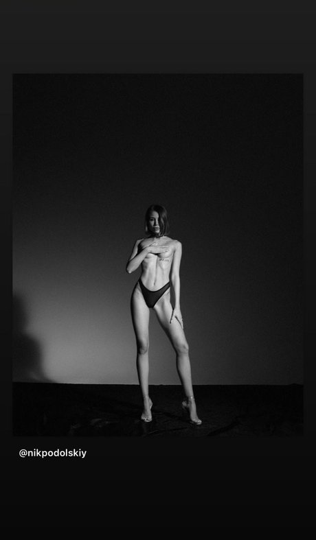 Tina Lee Terner pornographic model photo