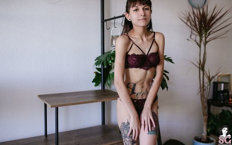 Wingsweak pornstar nude photos