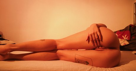 Ana Pires star adult image