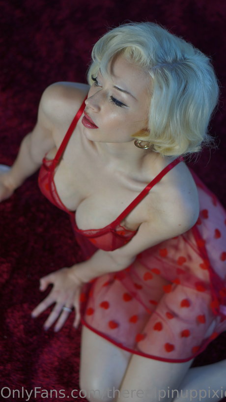 Pinup pixie pornstar sexy img