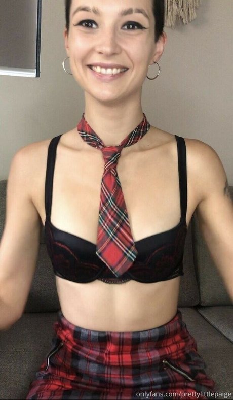 Pretty Little Paige model art image