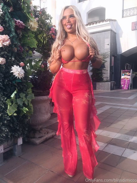 Bliss Dimicco sexy pornstar pic