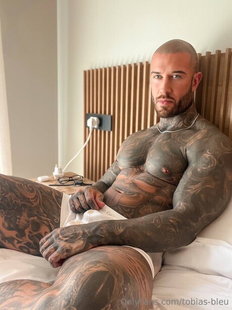 Tobias Bleu pornographic star gallery
