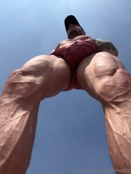 Lehmodog sexy model img