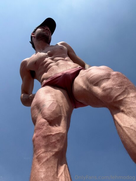 Lehmodog pornstar images