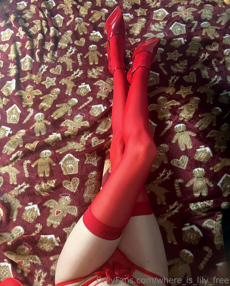 Where Is Lily Free sexy star galleries
