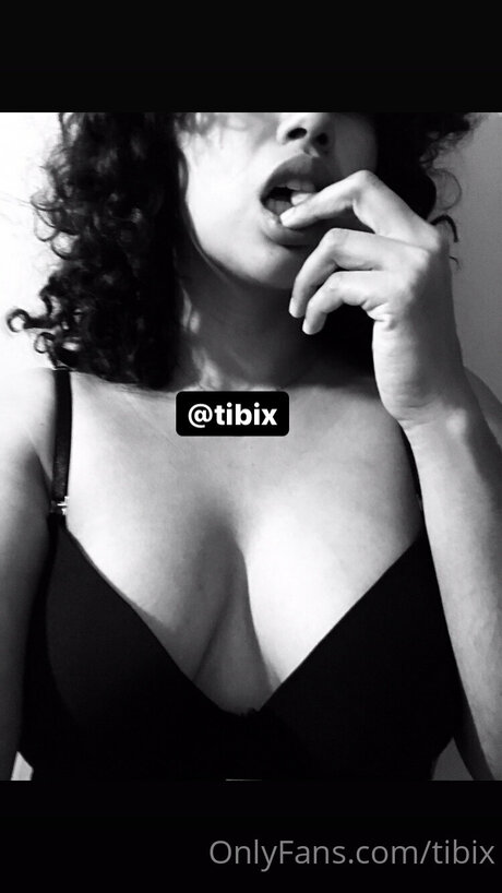 Tibix model archive