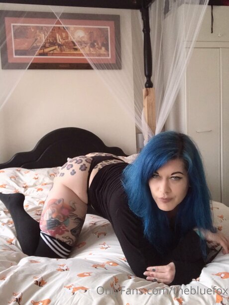 Thebluefox nudes pornstar archive