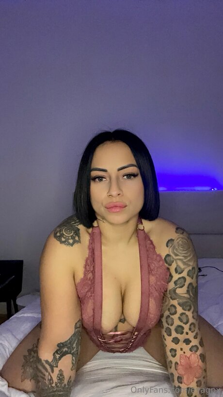 Evagpx beautiful star galleries