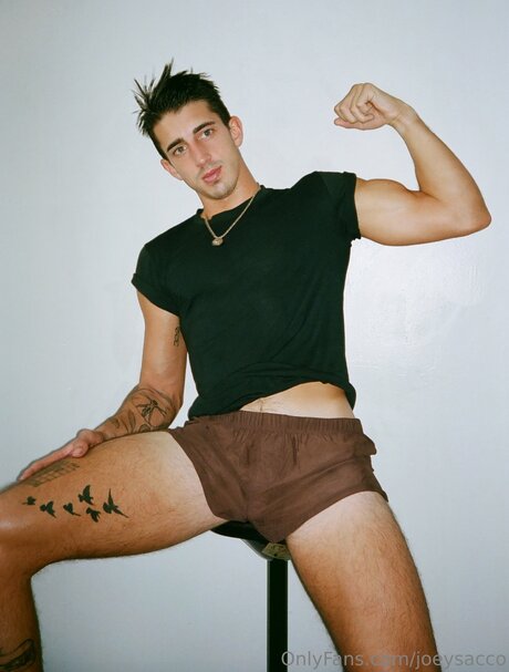 Joeysacco model top img