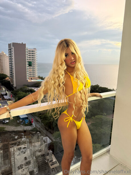 Shanneloffxxl model high quality img