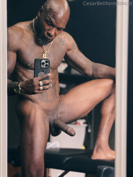 Cesarbelifonteuncut perfect pornstar image