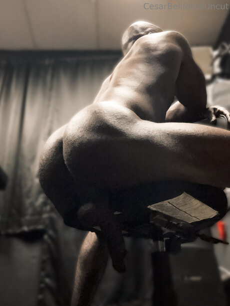 Cesarbelifonteuncut top profile image