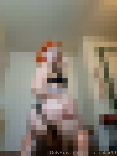 Free Ceceblair99 pornstar image