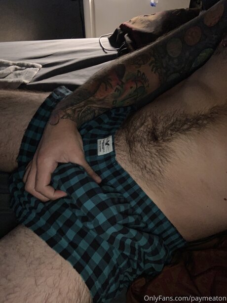 Paymeaton pornographic star pics