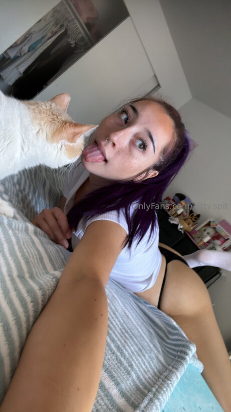 Kitty Spit free star galleries