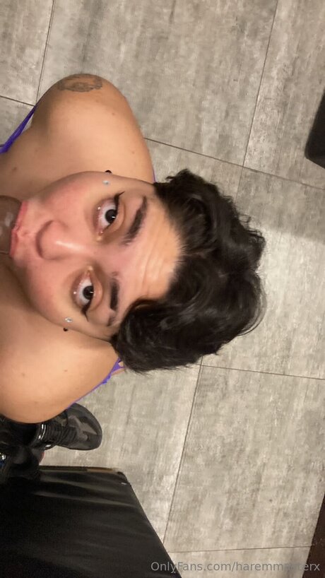 Haremmasterx free pornstar picture