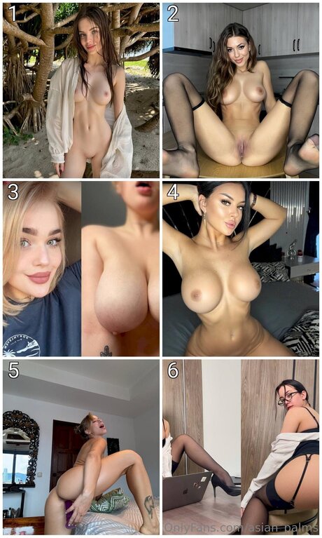 Asian Palms model perfect galleries