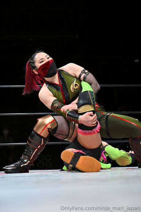 Ninja Mari Japan nice model picture