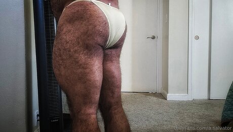A Salvator pornstar adult picture