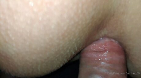 Veritas 69 star hd gallery