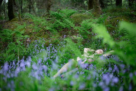 Fern Scotland nice model galleries