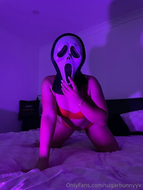 Naughtybunnyyx pornstar naked picture