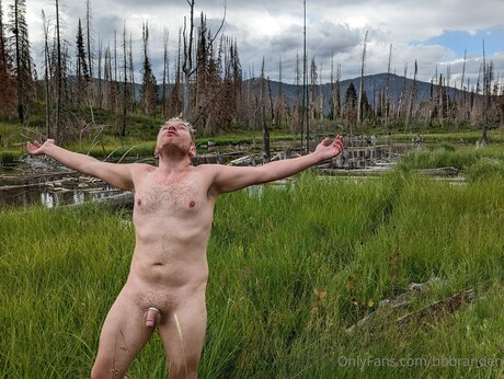 Bbbranden star beautiful picture
