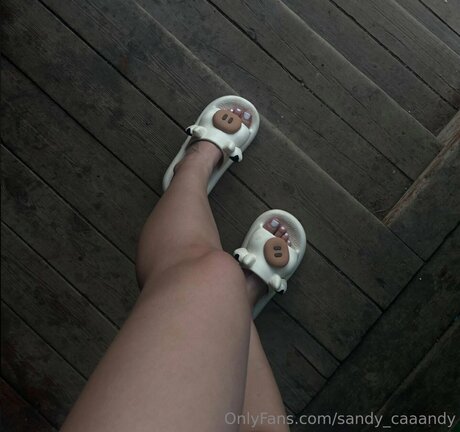 Sandy Caaandy nude model img