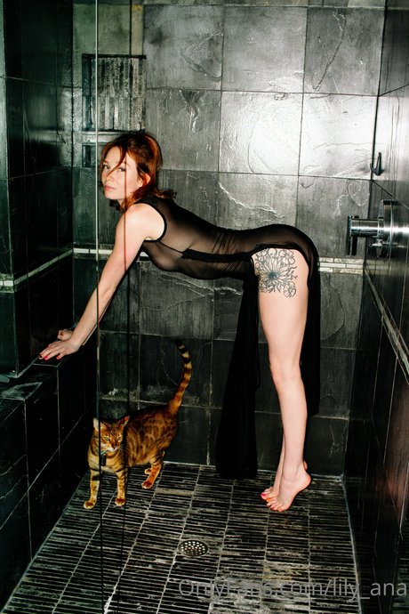 lily ana star hot pictures