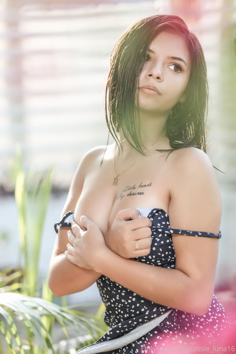 Cassie Luna naked model picture