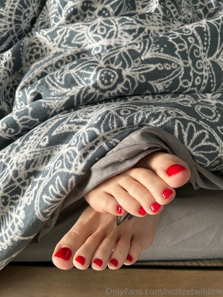Redfeetwildink star free pic