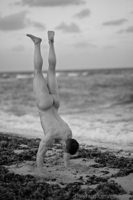 Evanpeix star high quality galleries