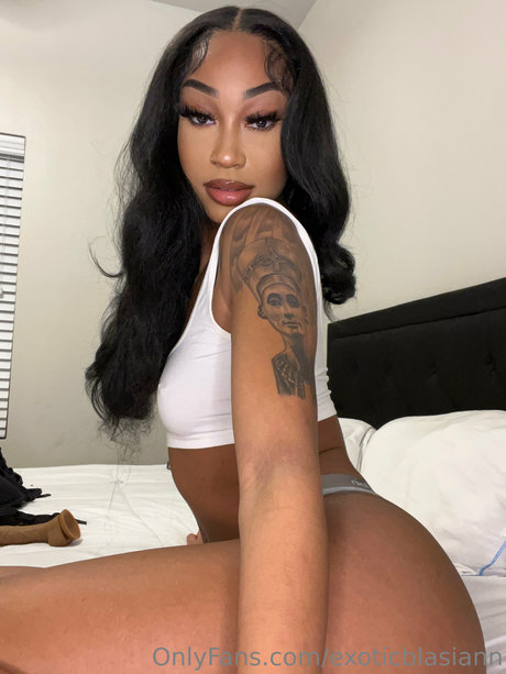 Exoticblasiann star adult image