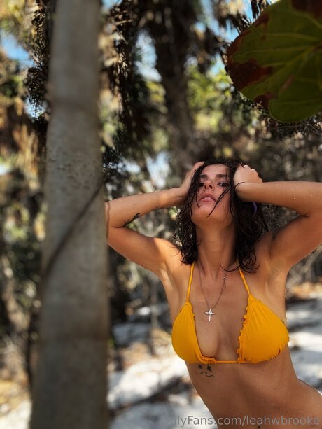 Leahwbrooke pornstar art pic