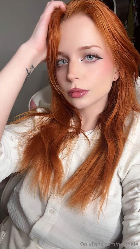 Northeie model free img