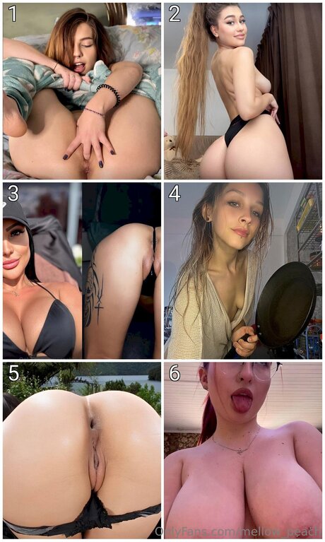 Mellow Peach top pornstar gallery