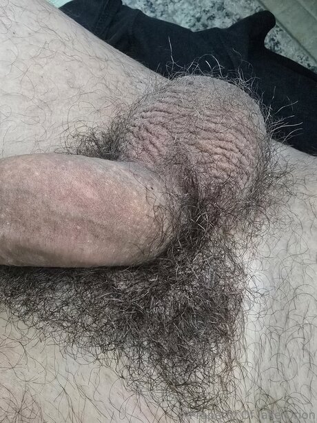 Jakeorionfree star hot galleries